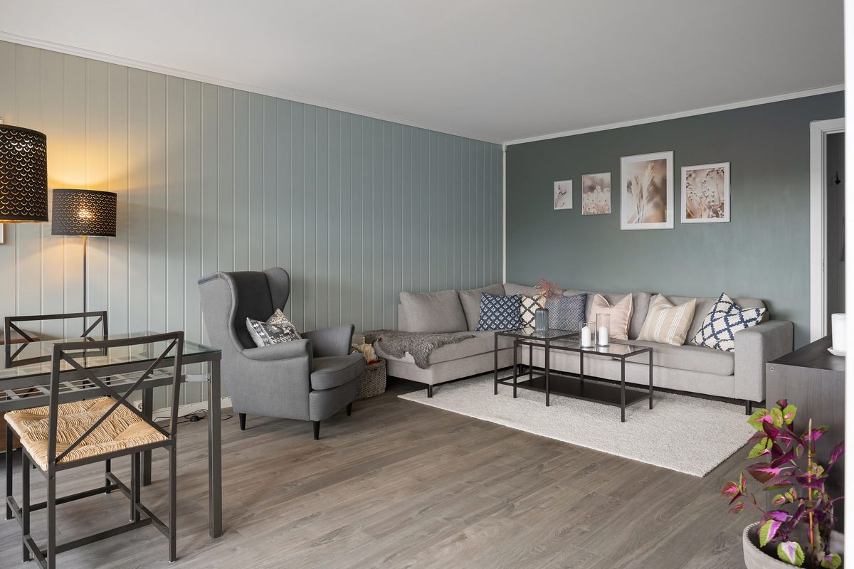 Frisch gestrichenes, modernes Wohnzimmer